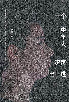 《一个中年人决定出逃》pdf电子书下载 pdf分享 第1张