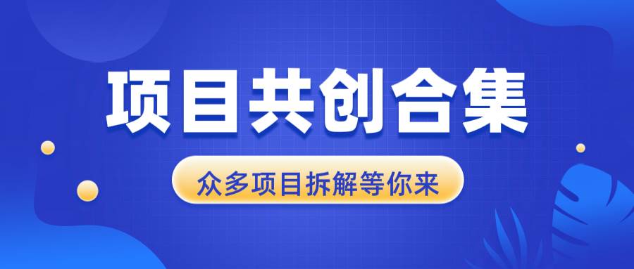 （13778期）项目共创合集，从0-1全过程拆解，让你迅速找到适合自已的项目 中创网 第1张