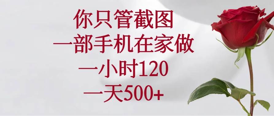 （14248期）你只管截图，一部手机在家做，一小时120，一天500+ 中创网 第1张