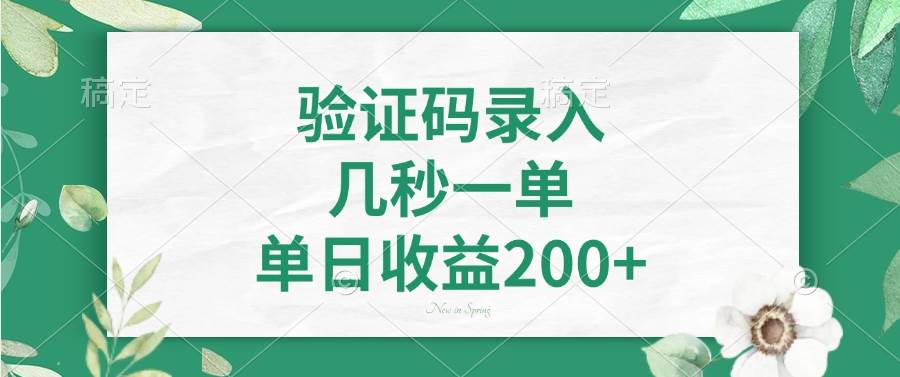 （14221期）验证码录入，几秒一单，单日收益200+ 中创网 第1张