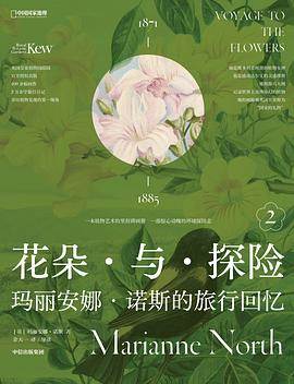 《花朵与探险2》pdf电子书下载 pdf分享 第1张